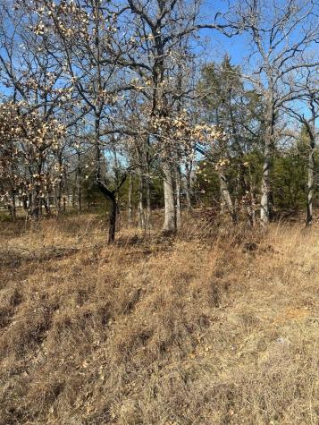 155 Spearman Street Mabank TX 75156