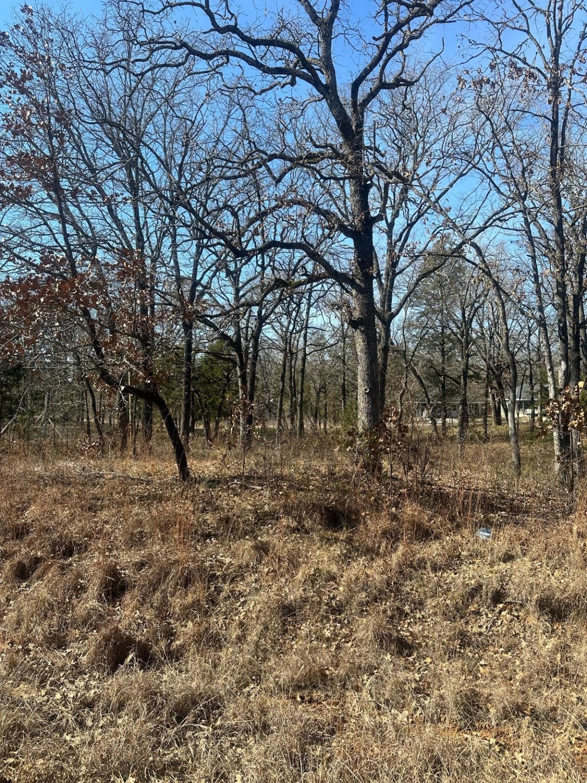 155 Spearman Street Mabank TX 75156