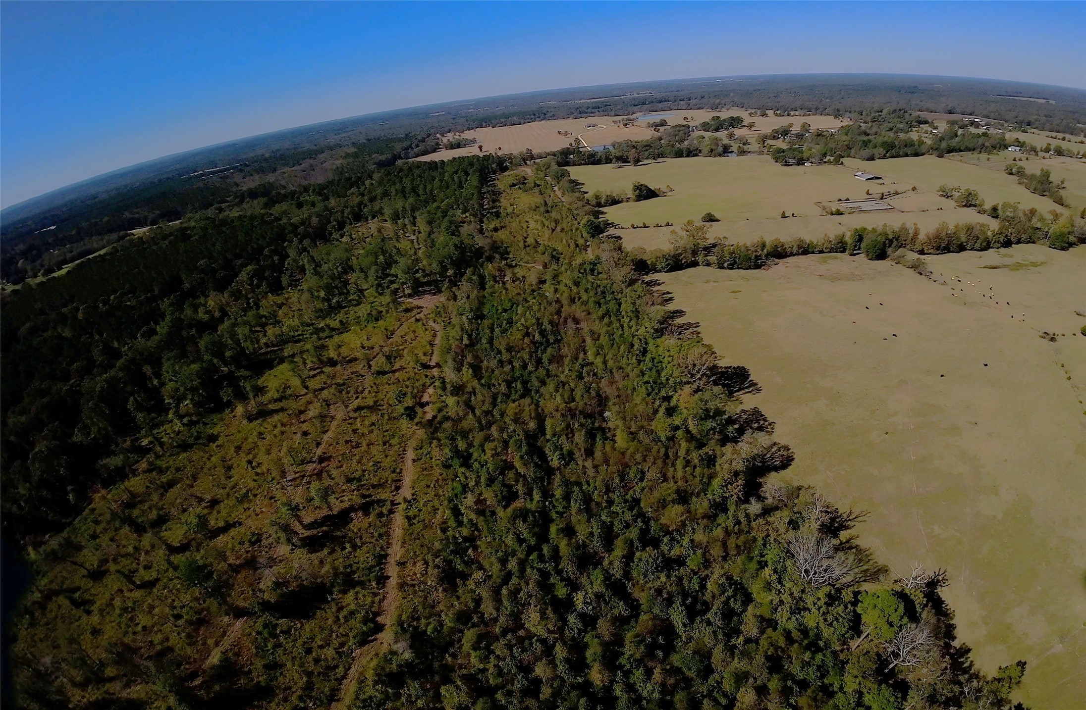 10222 Us Highway 271 N Gilmer TX 75644