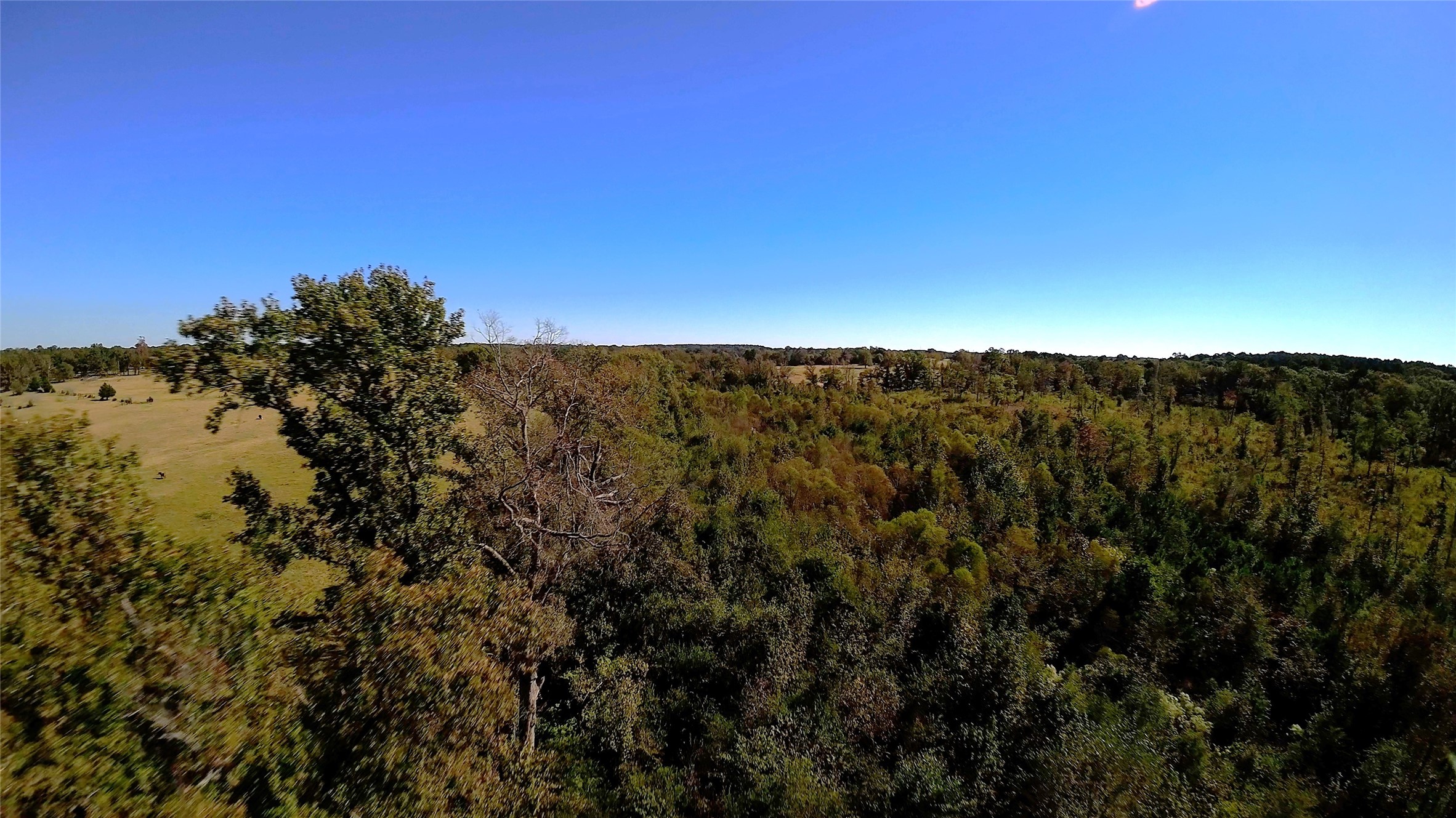 10222 Us Highway 271 N Gilmer TX 75644