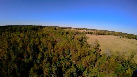 10222 Us Highway 271 N Gilmer TX 75644