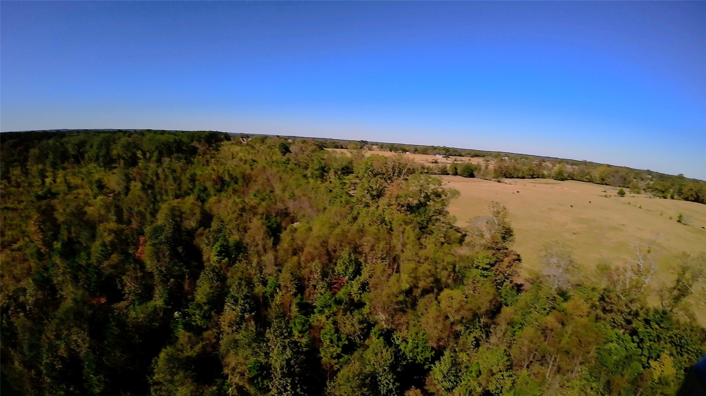 10222 Us Highway 271 N Gilmer TX 75644