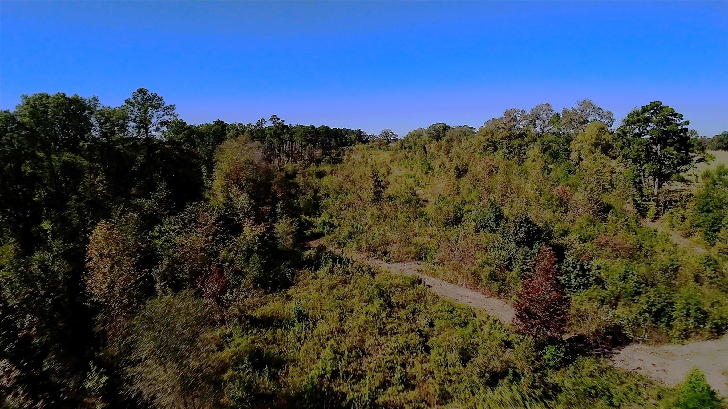10222 Us Highway 271 N Gilmer TX 75644