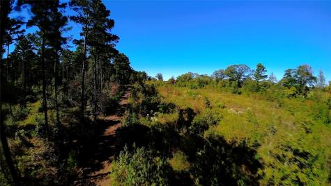 10222 Us Highway 271 N Gilmer TX 75644