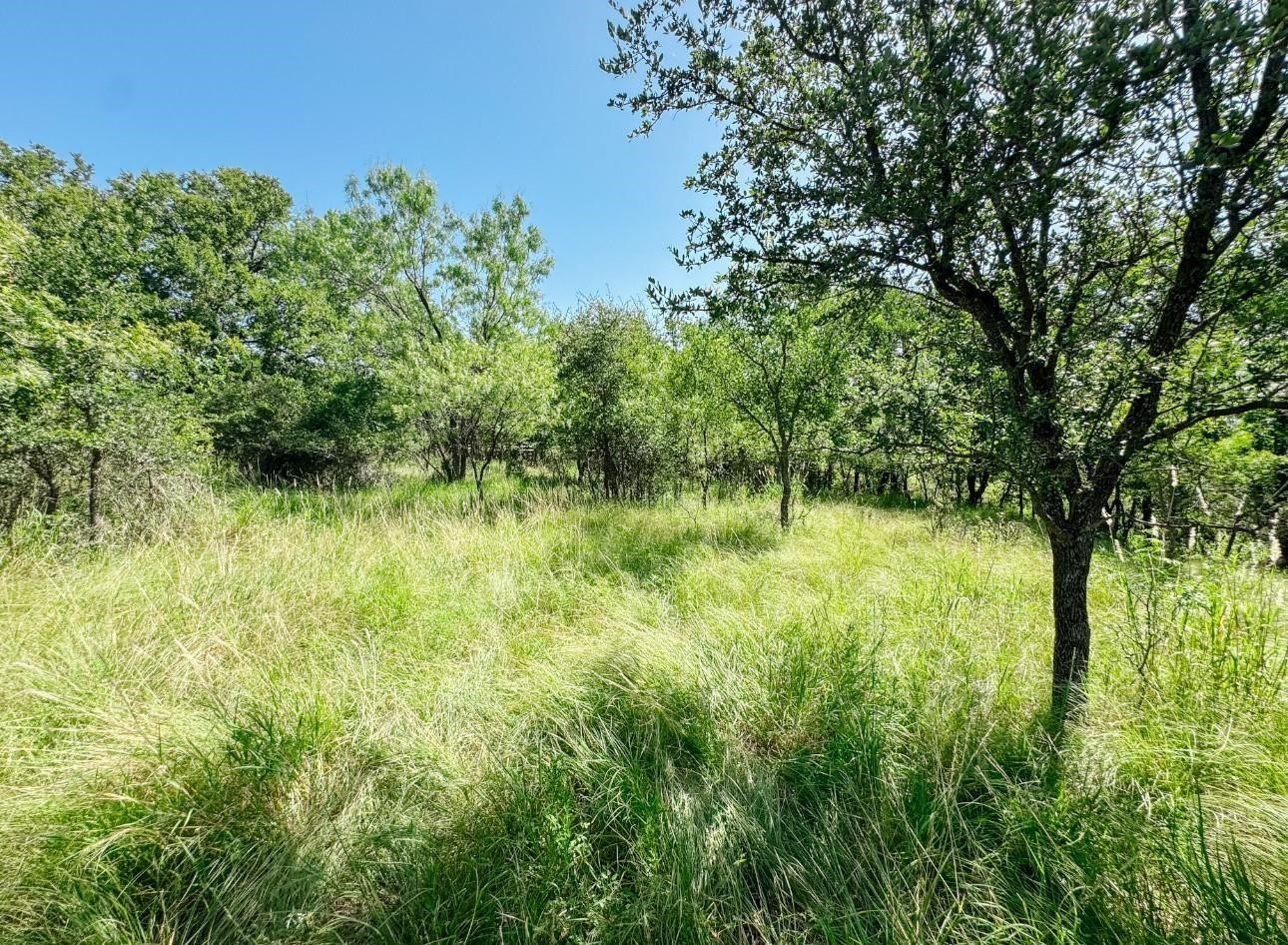 3105 Morris Sheppard Drive Brownwood TX 76801