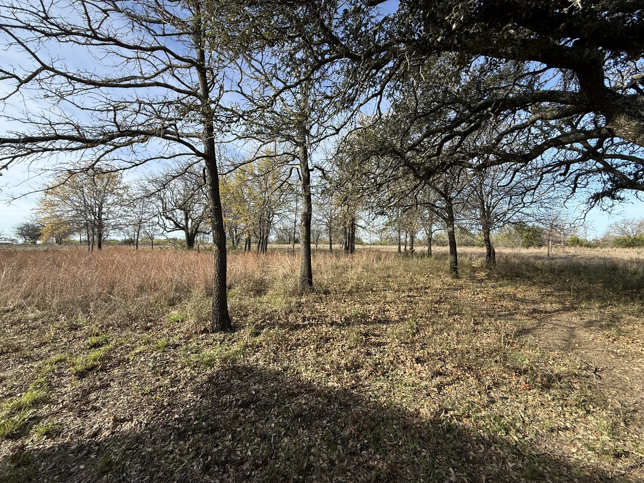 1128 Mambrino Highway Granbury TX 76048