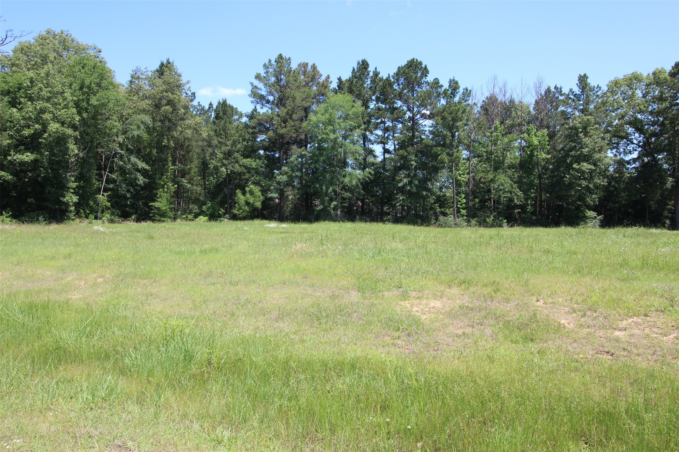 0 Fountainbleau Road Keithville LA 71047