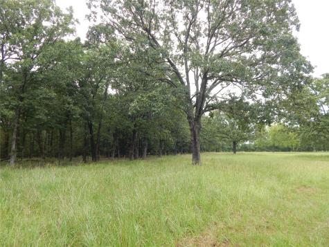 14 & 46 Lakeside Estates Bagwell TX 75412