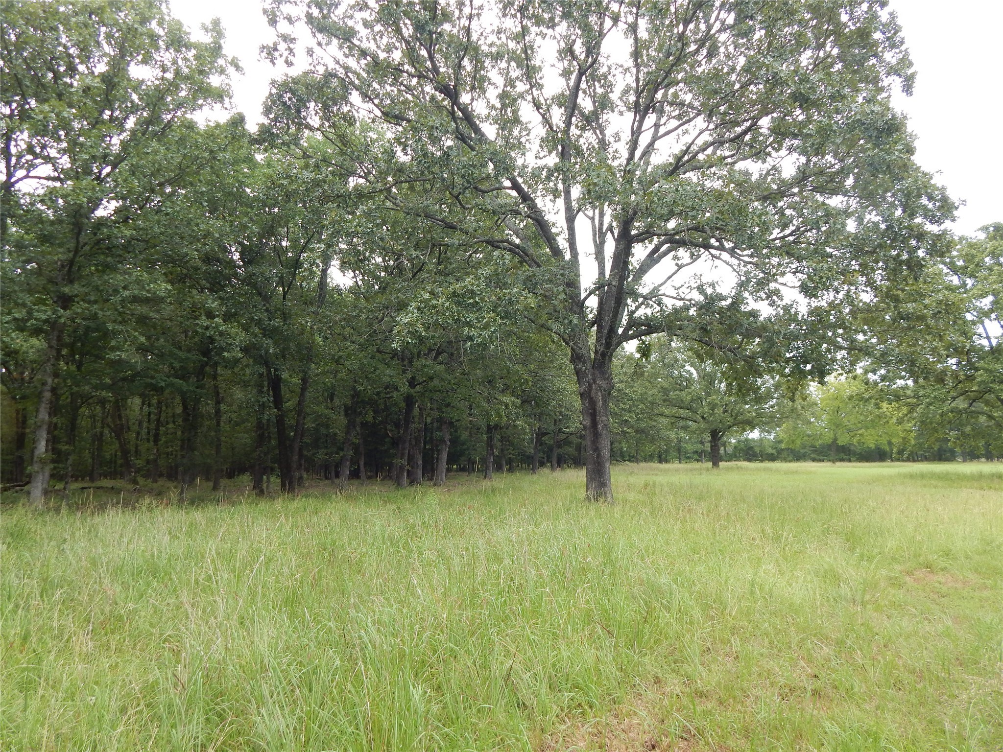 14 & 46 Lakeside Estates Bagwell TX 75412