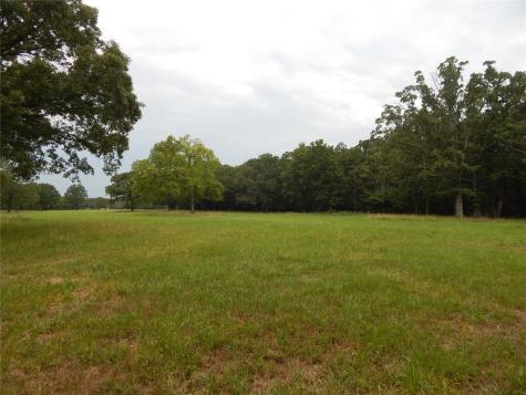 14 & 46 Lakeside Estates Bagwell TX 75412