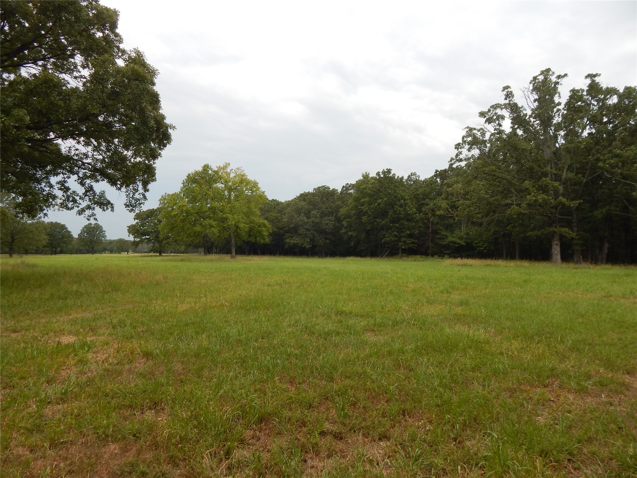 14 & 46 Lakeside Estates Bagwell TX 75412