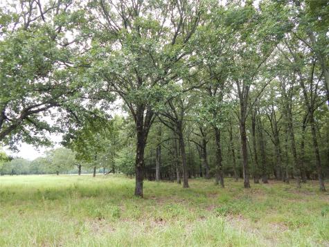 14 & 46 Lakeside Estates Bagwell TX 75412