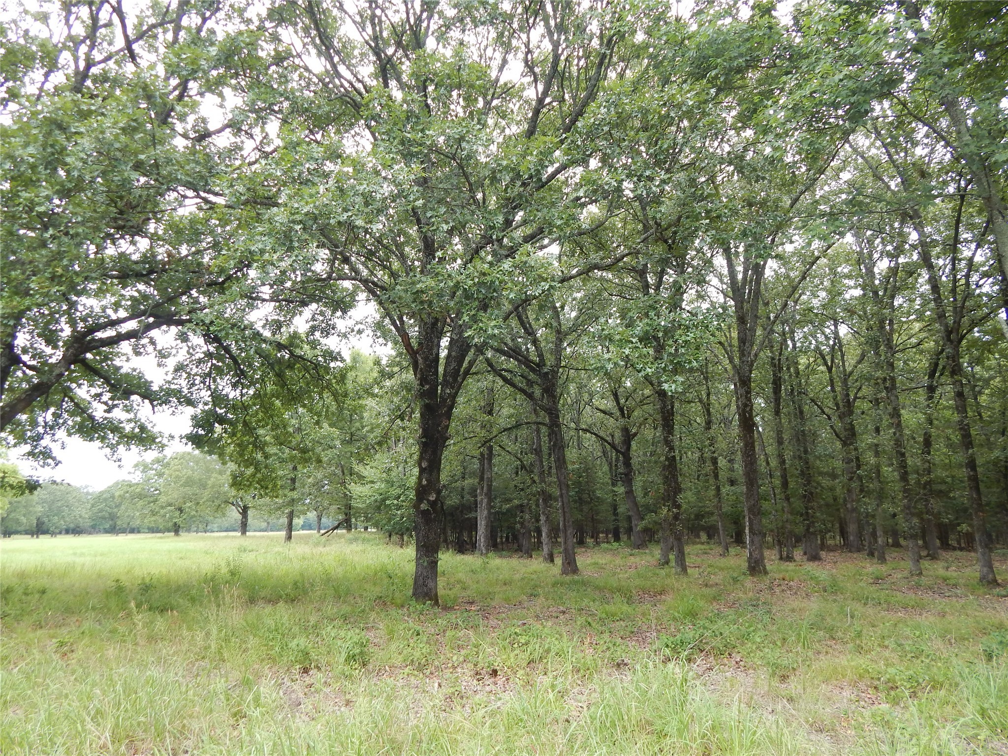 14 & 46 Lakeside Estates Bagwell TX 75412