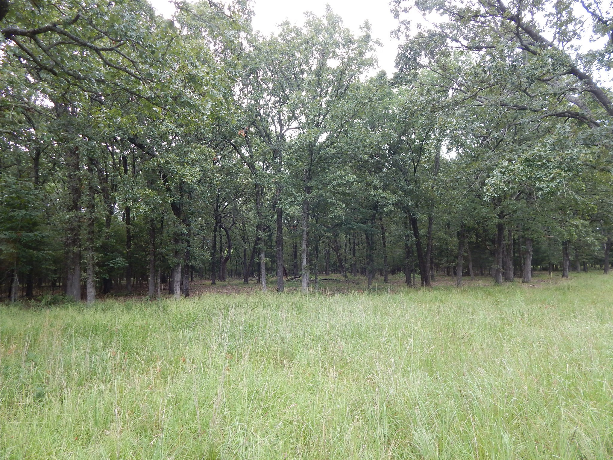14 & 46 Lakeside Estates Bagwell TX 75412