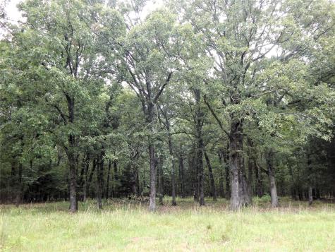 14 & 46 Lakeside Estates Bagwell TX 75412