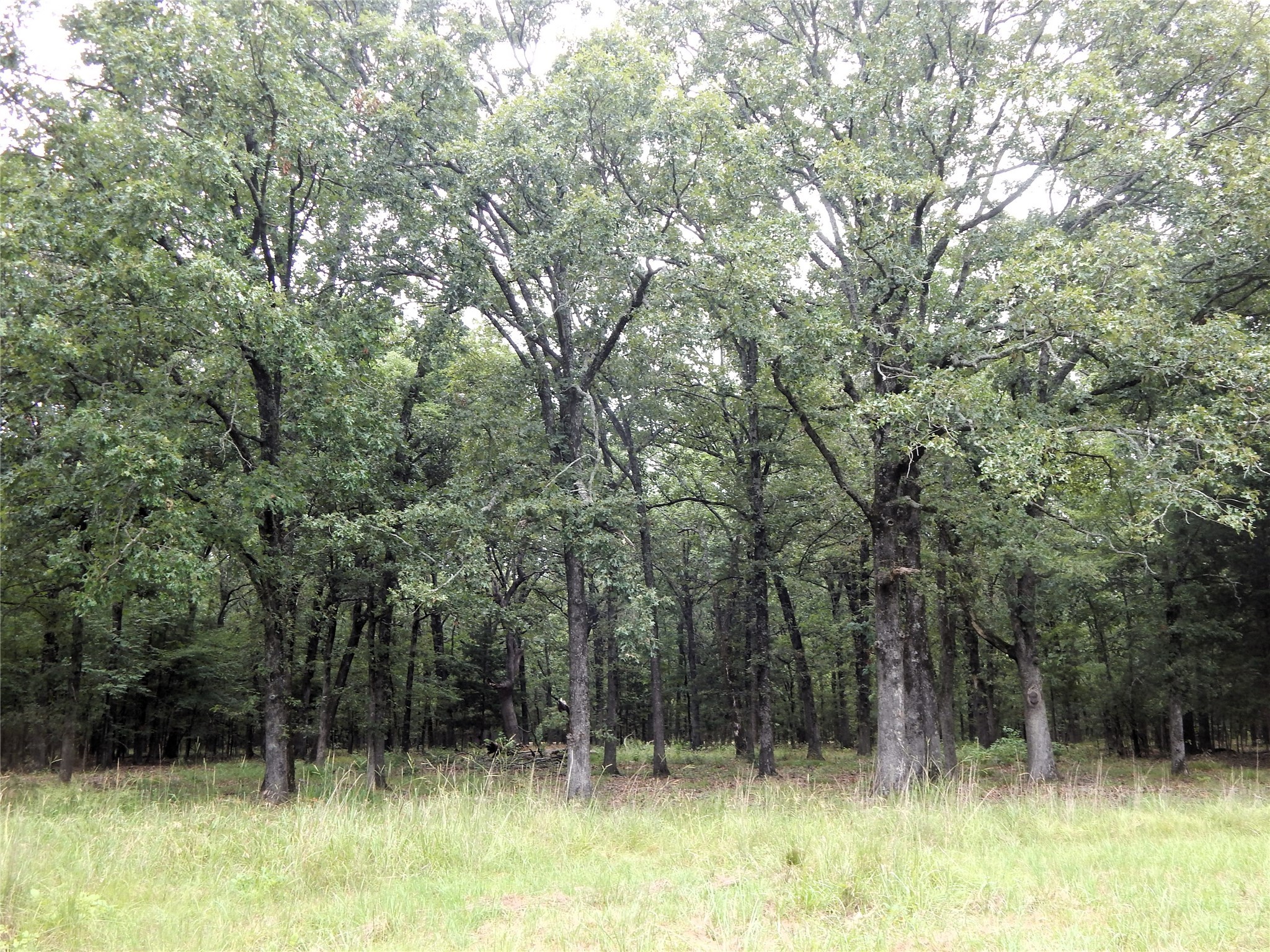 14 & 46 Lakeside Estates Bagwell TX 75412
