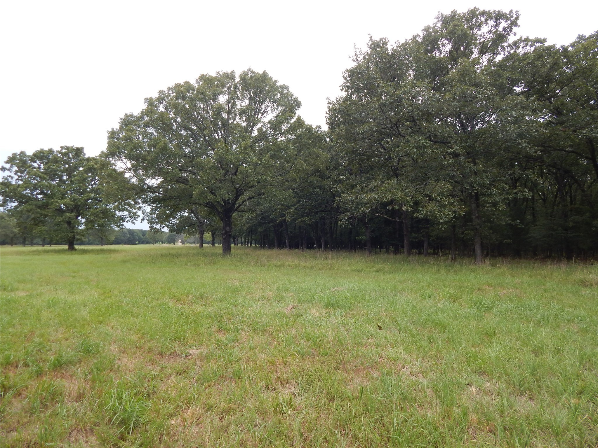 14 & 46 Lakeside Estates Bagwell TX 75412