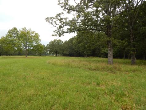 14 & 46 Lakeside Estates Bagwell TX 75412
