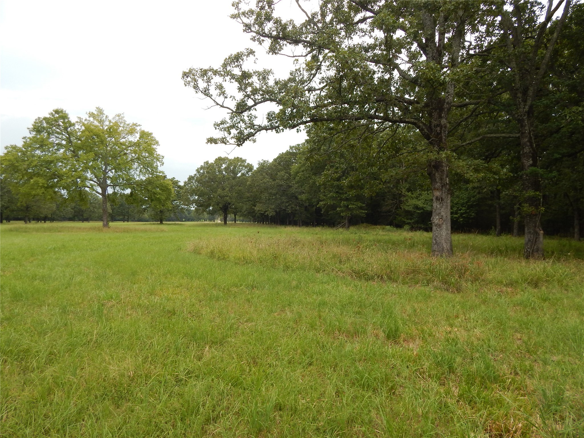 14 & 46 Lakeside Estates Bagwell TX 75412