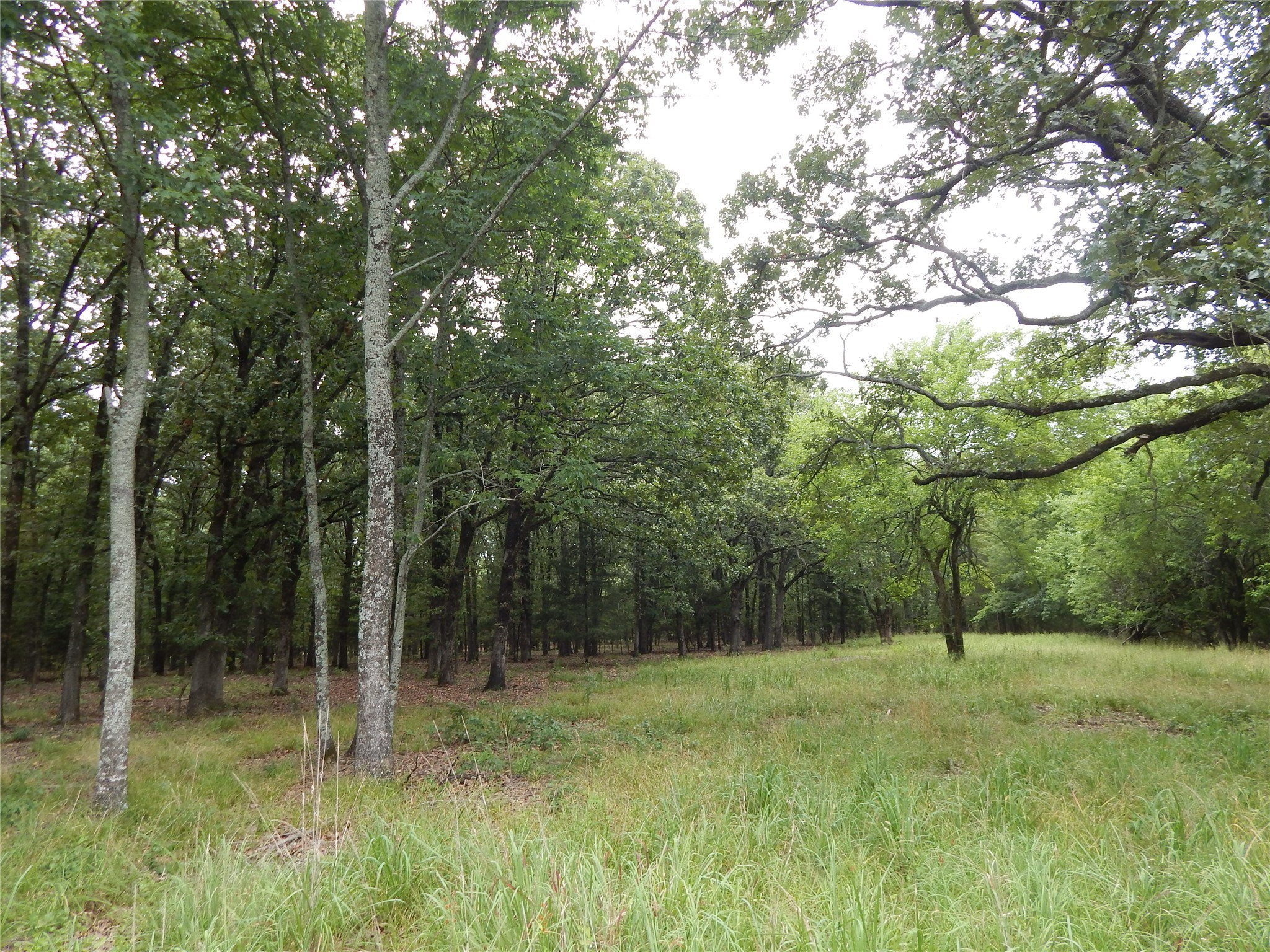14 & 46 Lakeside Estates Bagwell TX 75412