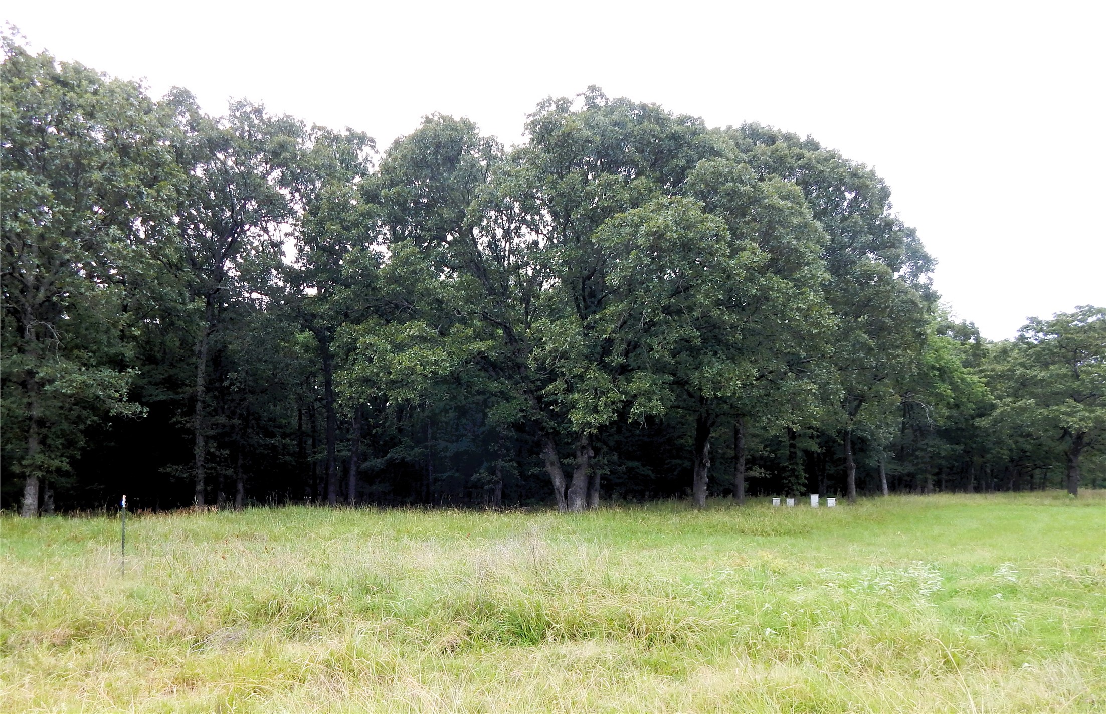 14 & 46 Lakeside Estates Bagwell TX 75412