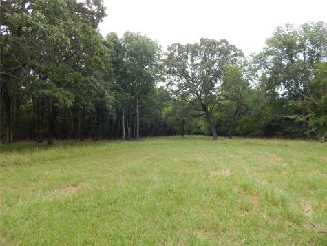 14 & 46 Lakeside Estates Bagwell TX 75412