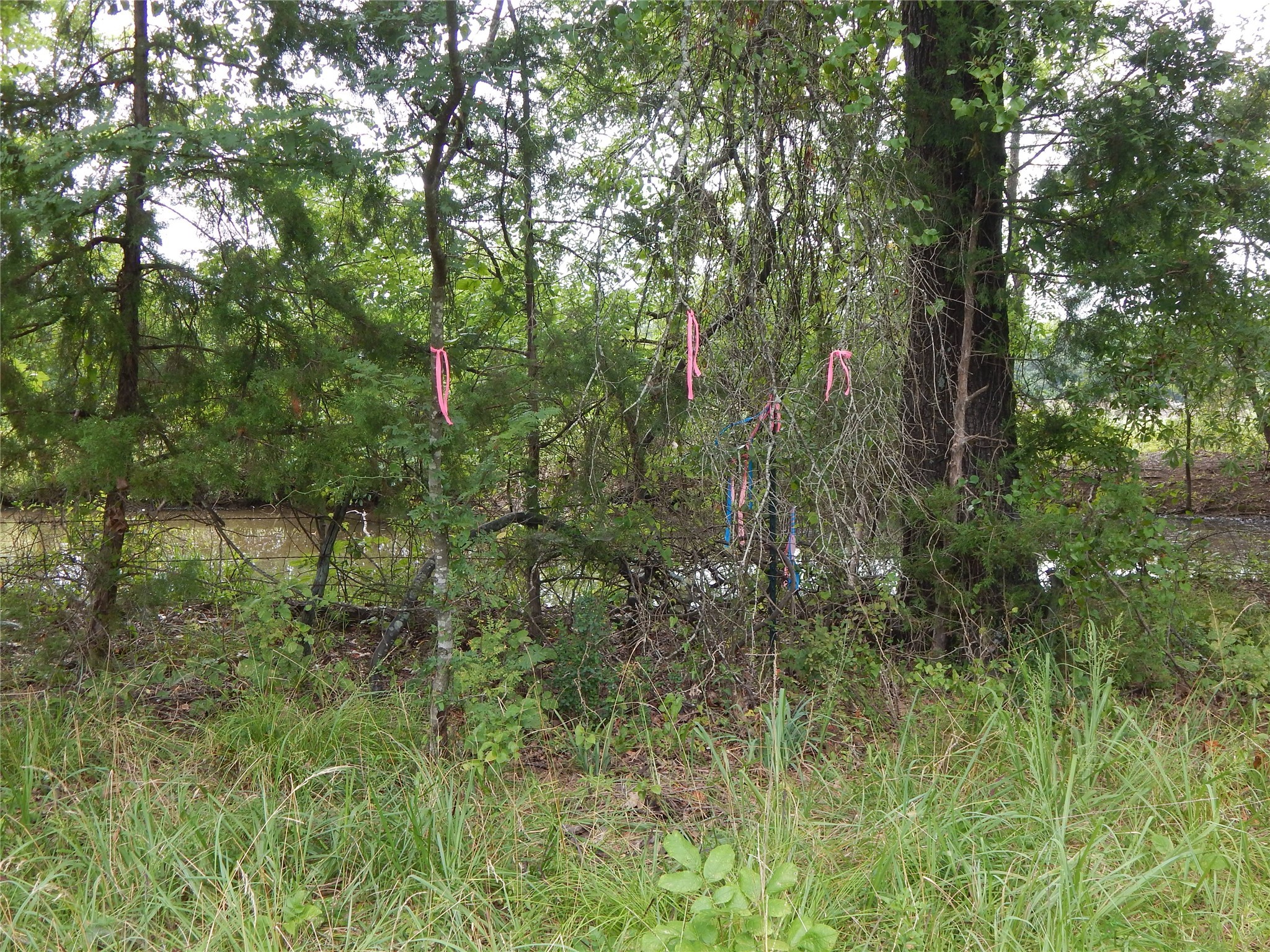 14 & 46 Lakeside Estates Bagwell TX 75412