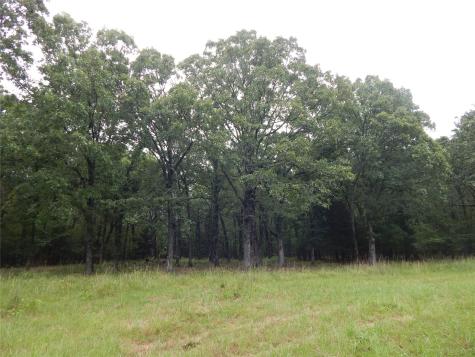 14 & 46 Lakeside Estates Bagwell TX 75412