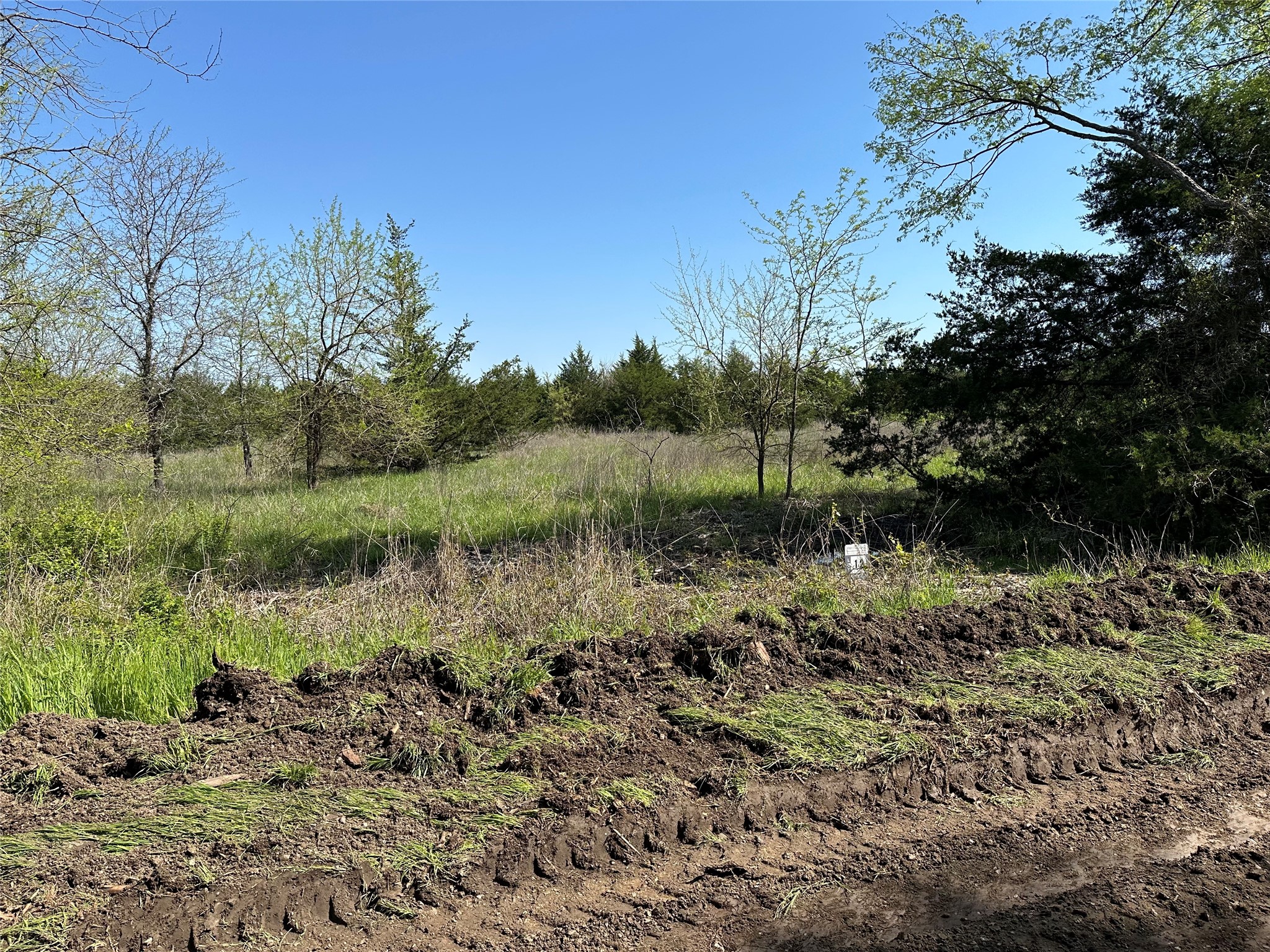 Tract 12 County Road 2951 Honey Grove TX 75446