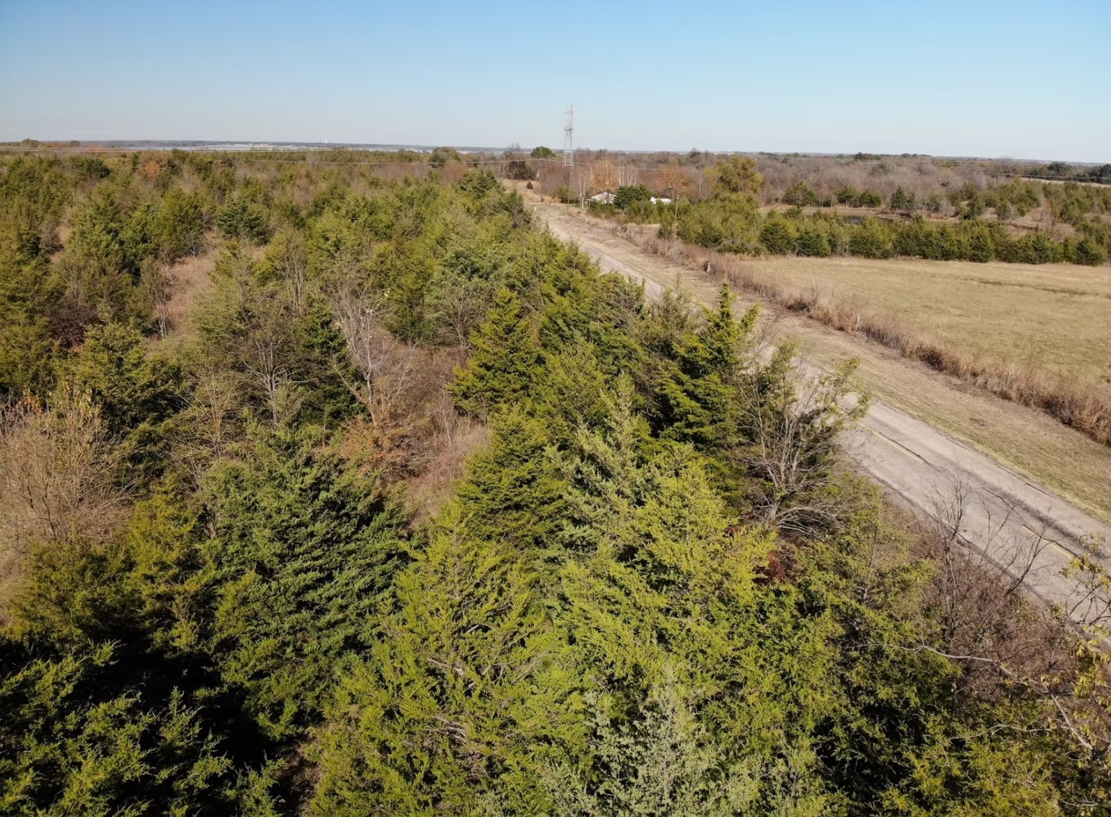 Tract 12 County Road 2951 Honey Grove TX 75446