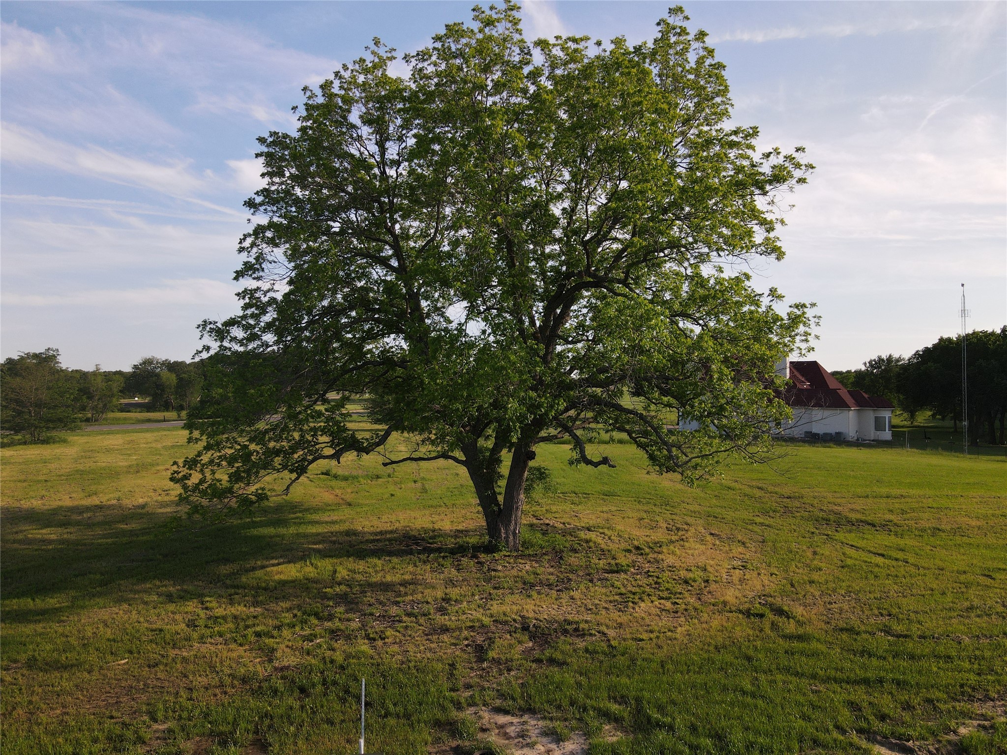 290 Wildflower Way Dodd City TX 75438