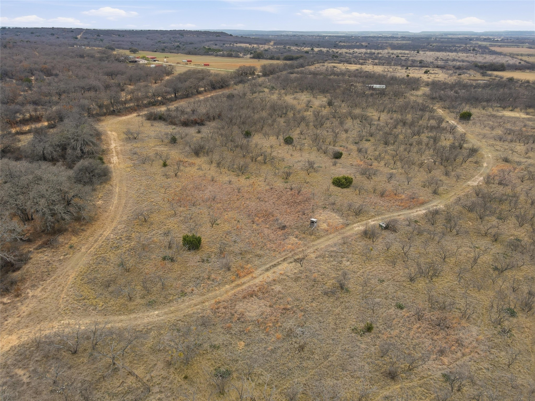438 County Road 486 Novice TX 79538