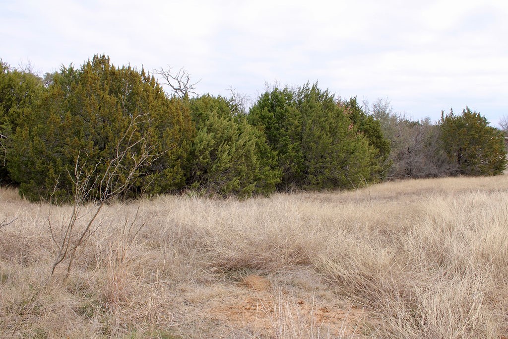 5732 Highland Drive Granbury TX 76048
