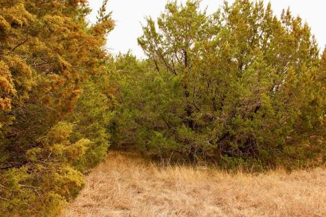 5732 Highland Drive Granbury TX 76048