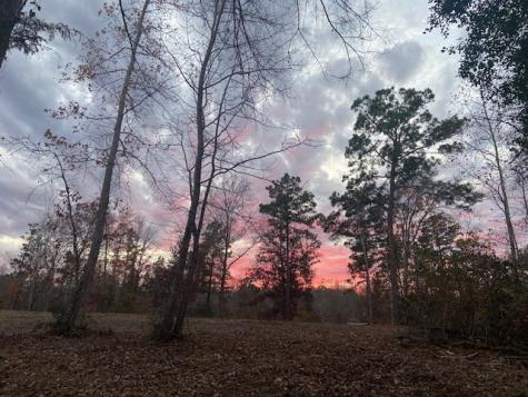 536 An County Road 1233 Palestine TX 75801