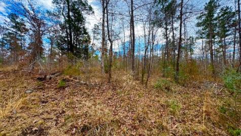 536 An County Road 1233 Palestine TX 75801