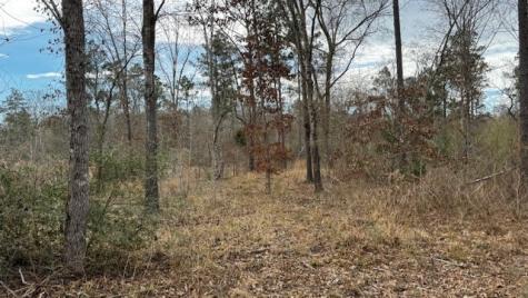536 An County Road 1233 Palestine TX 75801