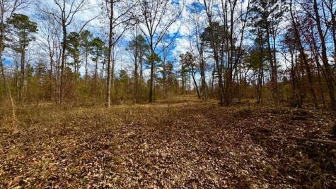 536 An County Road 1233 Palestine TX 75801