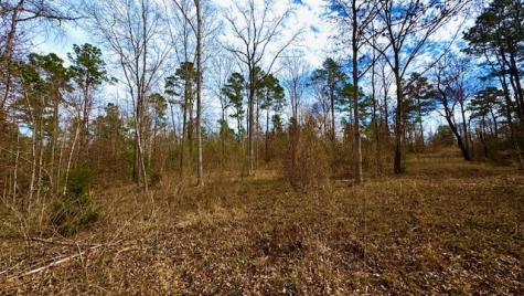 536 An County Road 1233 Palestine TX 75801