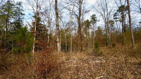 536 An County Road 1233 Palestine TX 75801