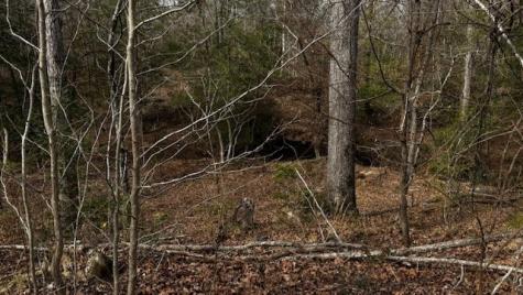 536 An County Road 1233 Palestine TX 75801