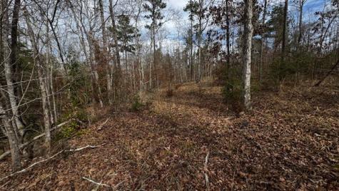 536 An County Road 1233 Palestine TX 75801