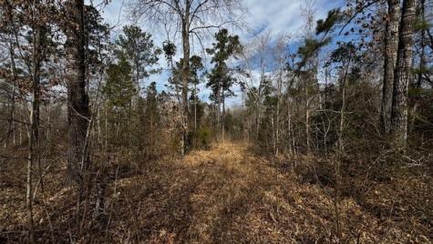 536 An County Road 1233 Palestine TX 75801