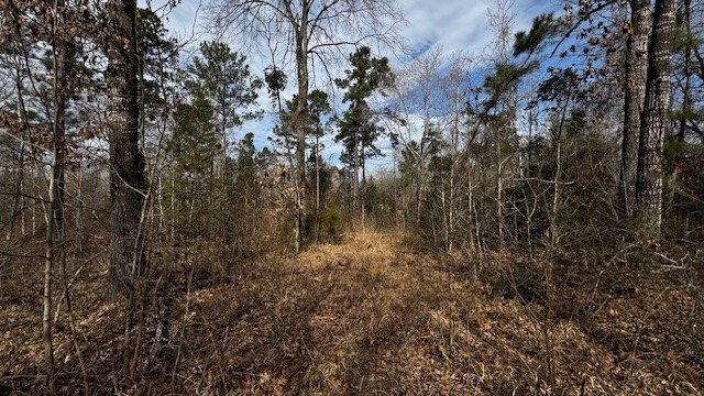 536 An County Road 1233 Palestine TX 75801