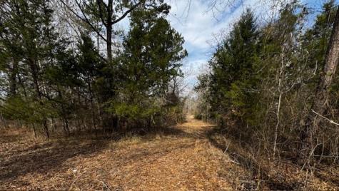 536 An County Road 1233 Palestine TX 75801