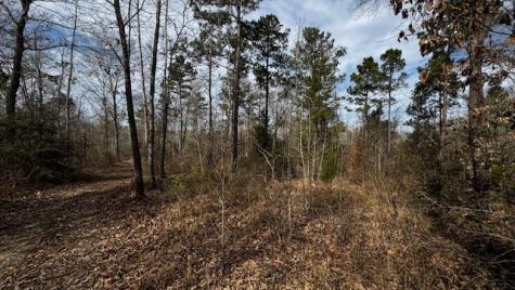 536 An County Road 1233 Palestine TX 75801