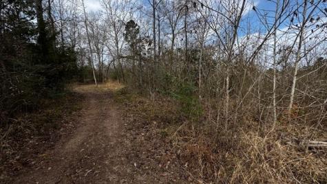536 An County Road 1233 Palestine TX 75801