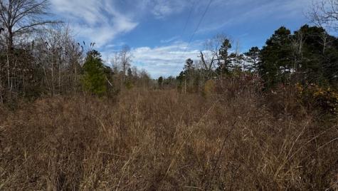 536 An County Road 1233 Palestine TX 75801