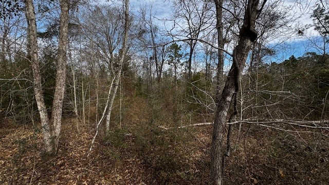 536 An County Road 1233 Palestine TX 75801