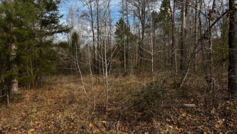 536 An County Road 1233 Palestine TX 75801